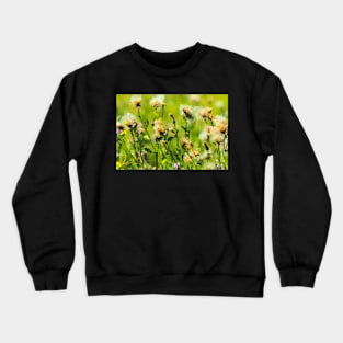 Prairie flower illustration Crewneck Sweatshirt